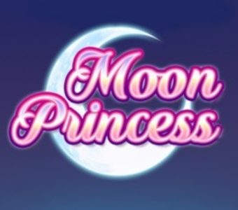 Moon Princess 로고 타입